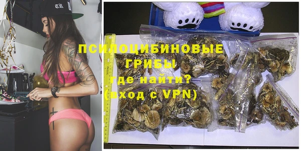 герыч Алексин