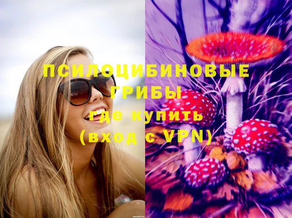 ECSTASY Армянск