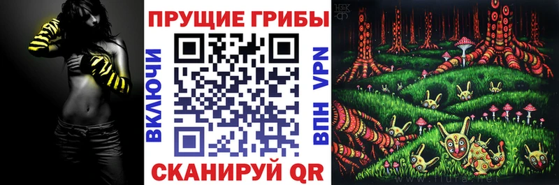 Галлюциногенные грибы прущие грибы  Мыски 
